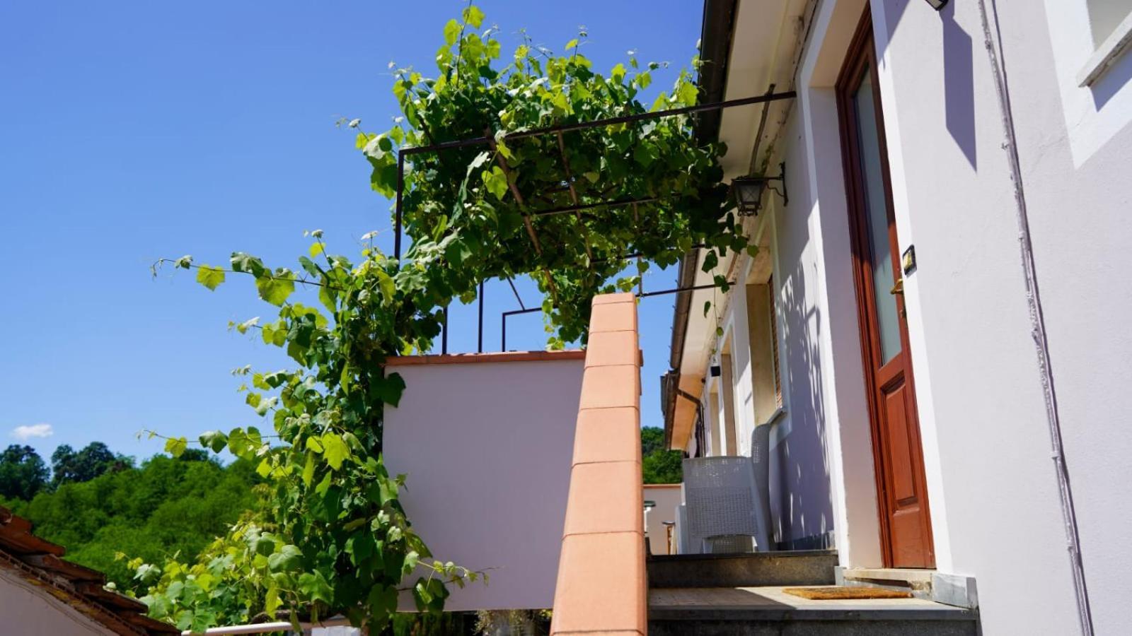 Wine House Bed and Breakfast Capannori Eksteriør billede