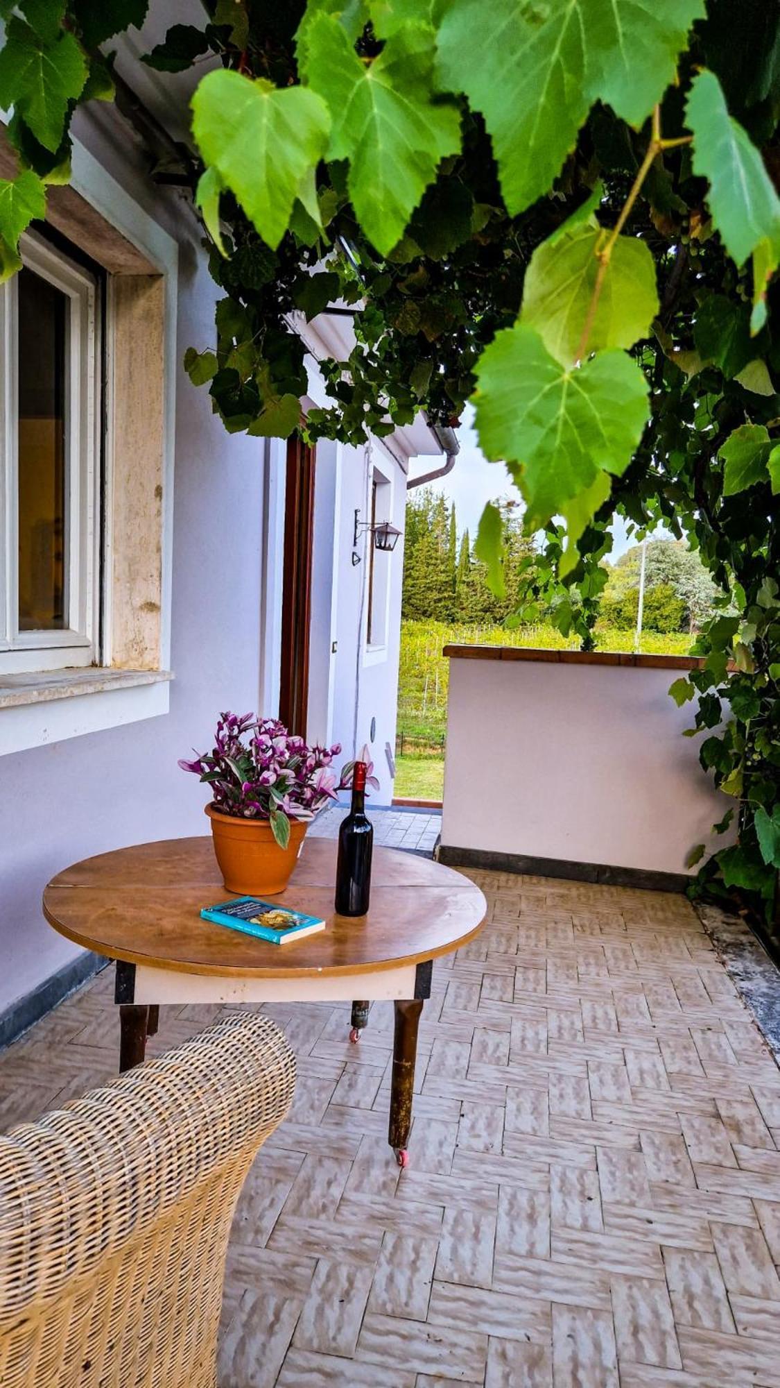 Wine House Bed and Breakfast Capannori Eksteriør billede