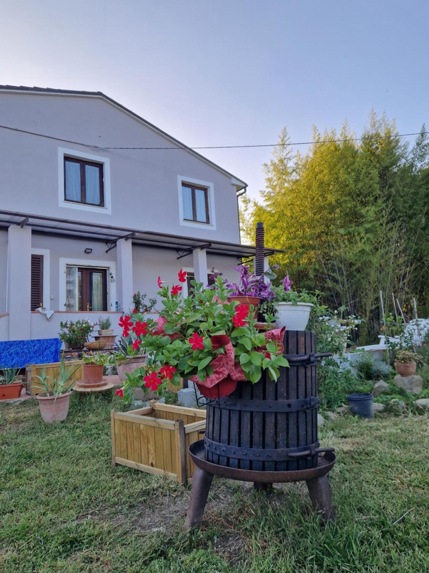 Wine House Bed and Breakfast Capannori Eksteriør billede